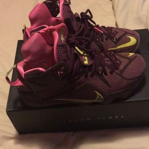 Lebron 12